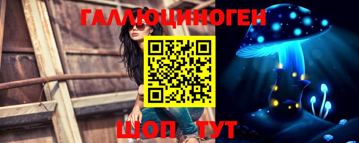 купить наркотик  Псилоцибиновые грибы Magic Shrooms  Вход с VPN  Рязань 
